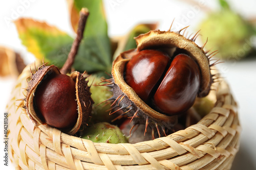 Horse chestnuts in wicker basket, closeup view
