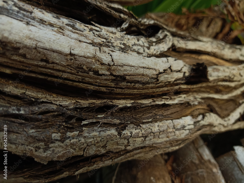 The old wood texture with natural patterns, Thailand The old wood texture with natural patterns, Thailand