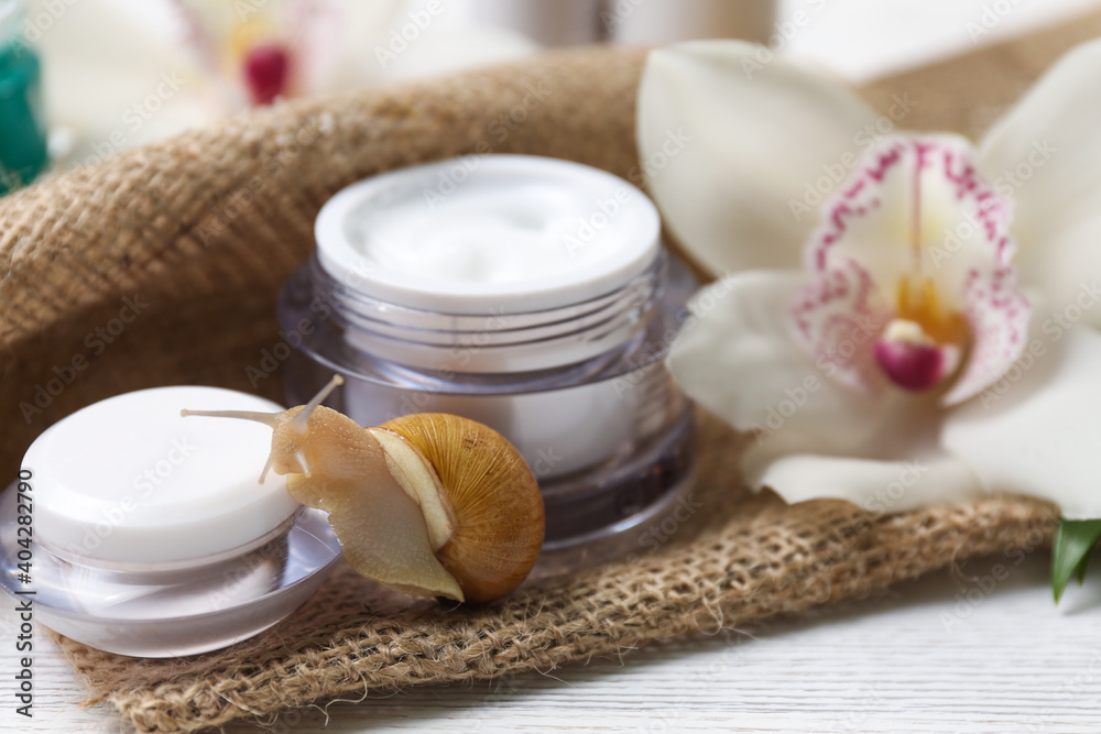 Snail and cream on white table, closeup Snail and cream on white table, closeup