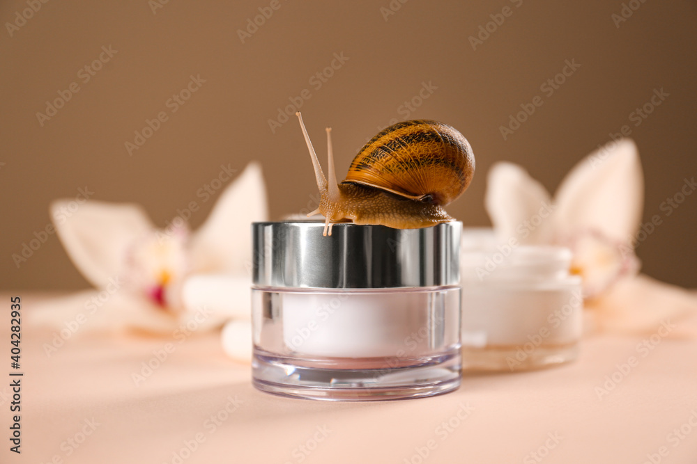 Organic cosmetics made with mucin and snail on table Organic cosmetics made with mucin and snail on table