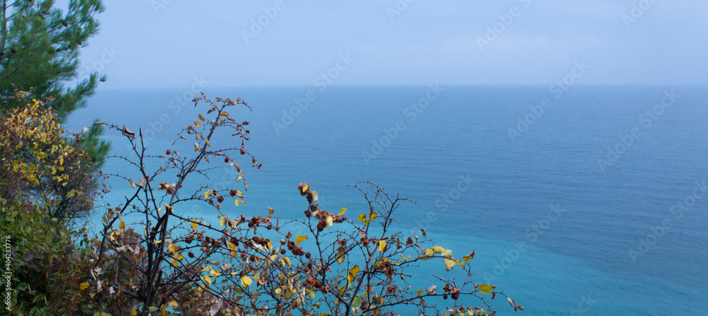 A banner with a natural framing from the trees and place for text on background of the sea. A banner with a natural framing from the trees and place for text on background of the sea.