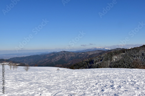 Blick vom Geiersnest bei Freiburg über den verschneiten Schwarzwald