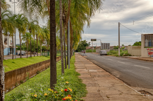 Palmito stream in the city of cassilandia photo