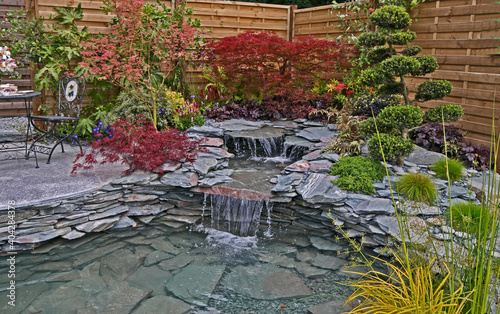 A natural rock and water garden witrh Clouid pruning and colourful Acer photo