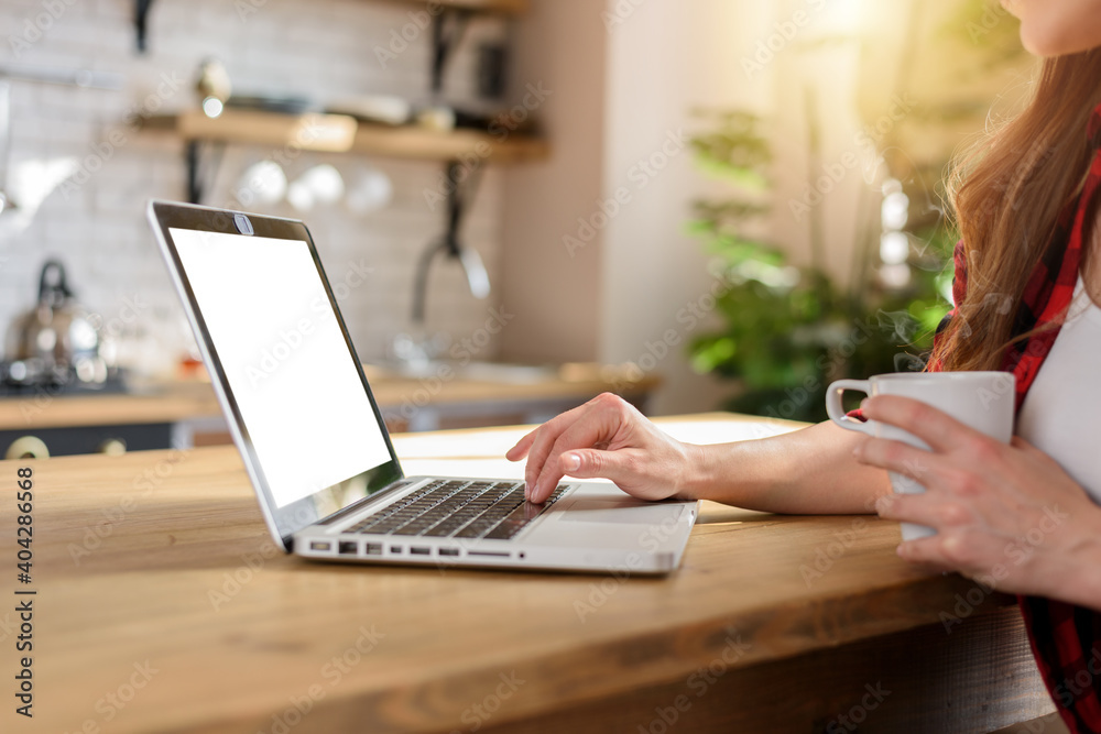 Woman surfs in internet with her laptop with a white screen. She work at home as smart working Woman surfs in internet with her laptop with a white screen. She work at home as smart working