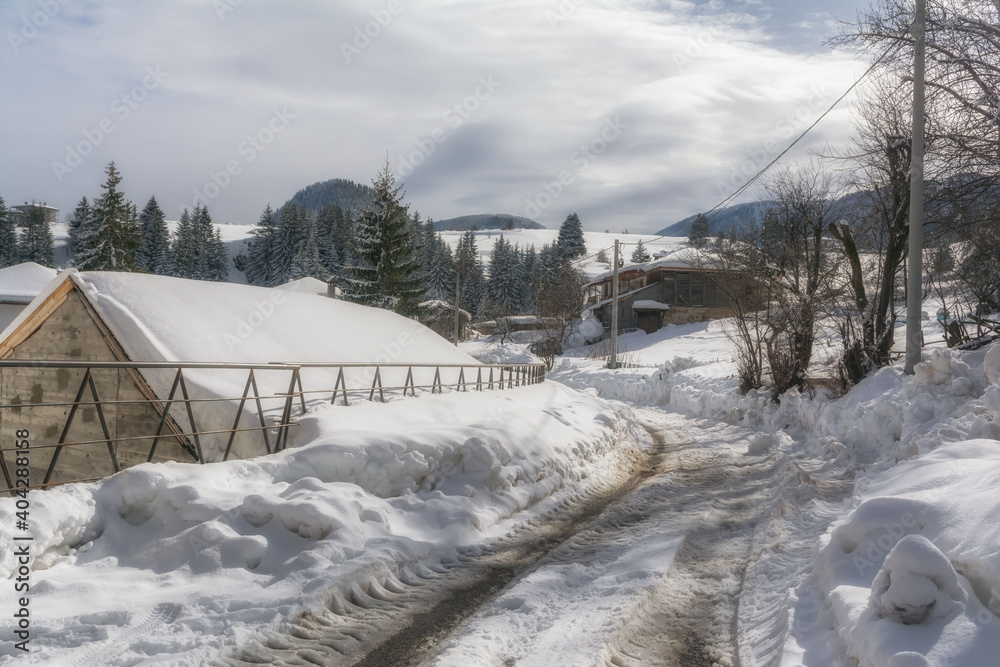 Winter forest, mountain landscape in the wintertime, snow-covered trees. Bulgaria, Gela, Rhodope Mountains Winter forest, mountain landscape in the wintertime, snow-covered trees. Bulgaria, Gela, Rhodope Mountains