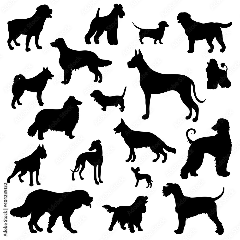Silhouettes of different dog breeds