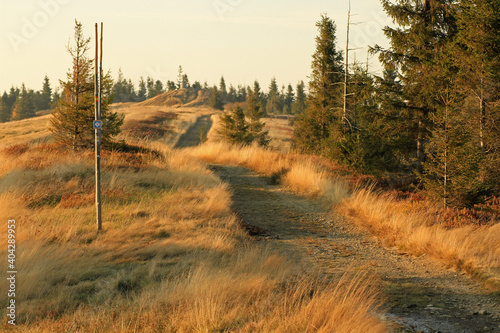 Fototapeta Naklejka Na Ścianę i Meble -  Autumn in the mountains, near Blatnia peak, Silesian Beskids, Poland