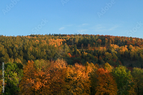 Fototapeta Naklejka Na Ścianę i Meble -  Autumn in the mountains, view from Debowiec peak, Silesian Beskids, Poland