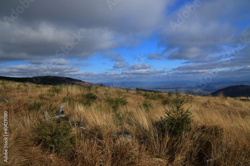 Fototapeta Naklejka Na Ścianę i Meble -  Landscape of Silesian Beskids near Malinowska Skala, Poland