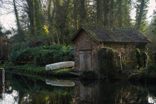 Paysage en forêt