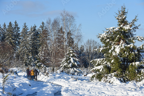 neige hiver paysage Belgique Wallonie Gaume Ardenne bois foret balade famille