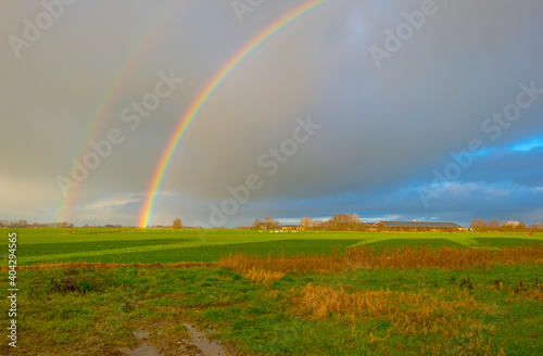 Double rainbow and yellow grey rain clouds over a windy rainy green meadow in bright sunlight in winter  Leeuwarden  Friesland  The Netherlands  January 9  2021