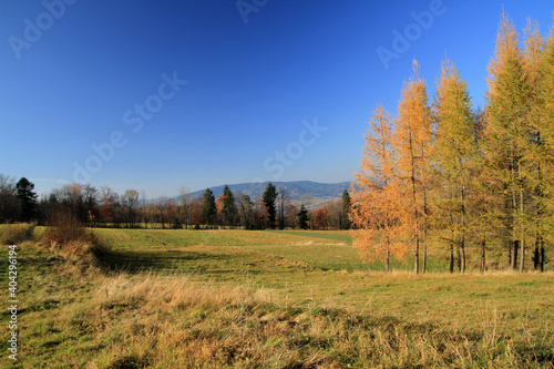 Autumn in Island Beskids near Kudlacze, Poland