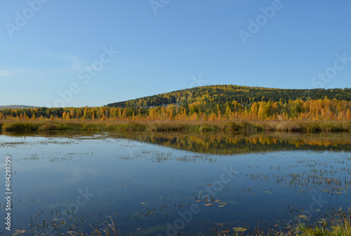 Fototapeta Naklejka Na Ścianę i Meble -  pond lake in autumn forest