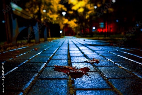 rain on the street photo