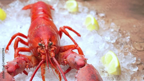 Close-up of a big cooked red lobster on crushed ice with lemon, lime on the side. Concept of fresh juicy whole lobster presented in a luxury way with wages of tropical fruits on the table in 4K.