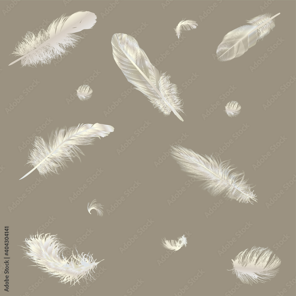 twelve light brown feathers twelve light brown feathers