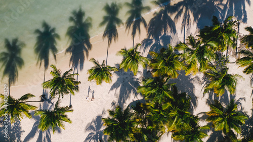 Shadows from palm trees and people on the beach. Aerial view