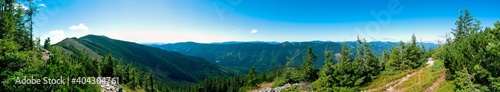 beautiful panorama with alpine pine and mountains under blue sky