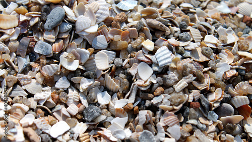 A lot of shells and stones on sand beach background close-up