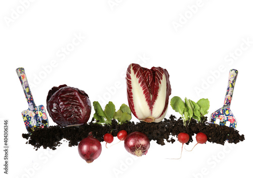 Healthy food high in anthocyanins