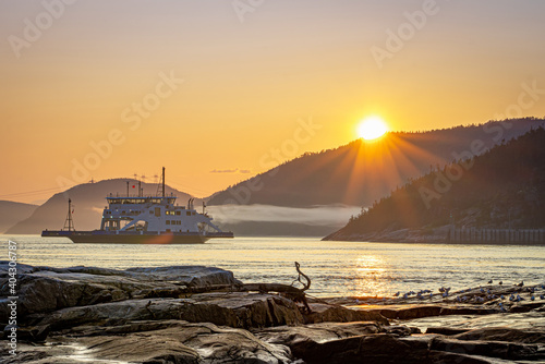 Ferry passing across Saguenay river in Tadoussac during sunset with a nice fog in background and birds in foreground photo