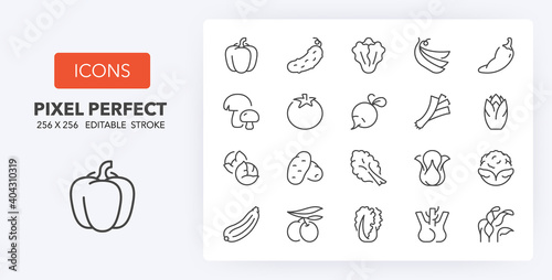 vegetables 2 line icons 256 x 256
