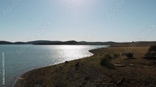 Silhouette of rocky lake shoreline meandering to the horizon on a sunny day - Aerial ascending shot