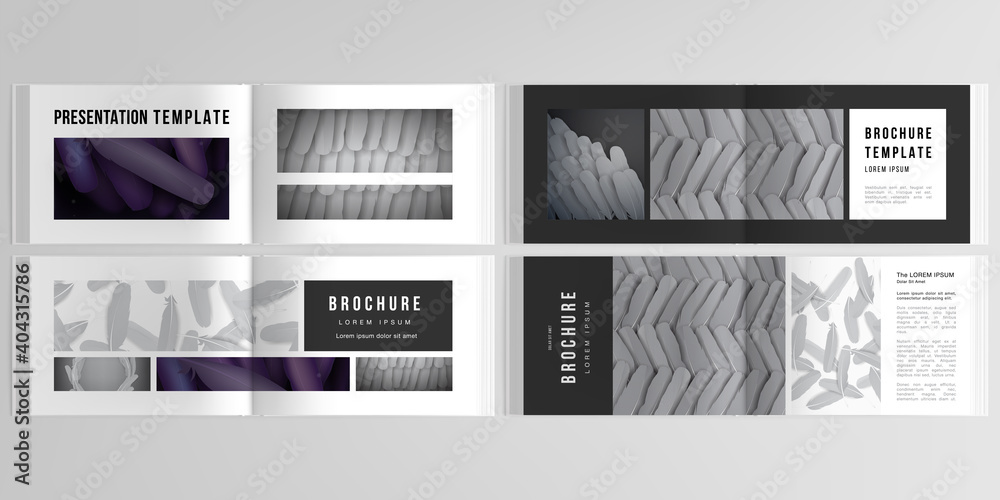 Vector layouts of horizontal presentation design templates for landscape design brochure, cover design, flyer, book design, magazine. Feathers, birds plumage in abstract style. Graphic pattern.
