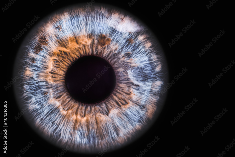 blue eye blue eye