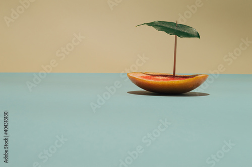 Summer tropical composition made with slice of grapefruit and one green leaf.