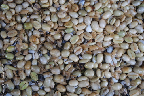 Foto Frische Kaffeebohnen