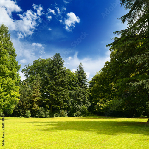 Picturesque landscape of sunny meadow in summer park.