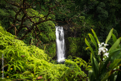 Fototapeta Naklejka Na Ścianę i Meble -  waterfall in the forest