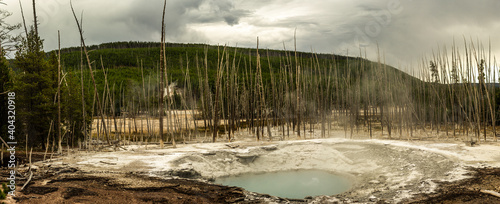 Panorama shot of smal lake of thermal spring with dirty blue water and steam in yellowstone national park © AllThings