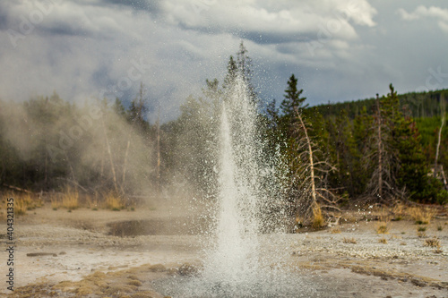 Close up of active gayser and splashing water from gaysr in yellowstone national park in america