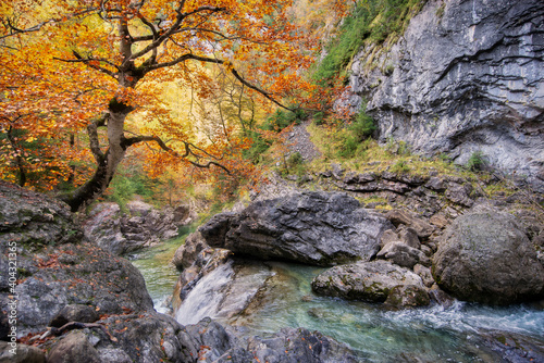 Autumn in Añisclo Canyon, spanish pyrenees, Spain