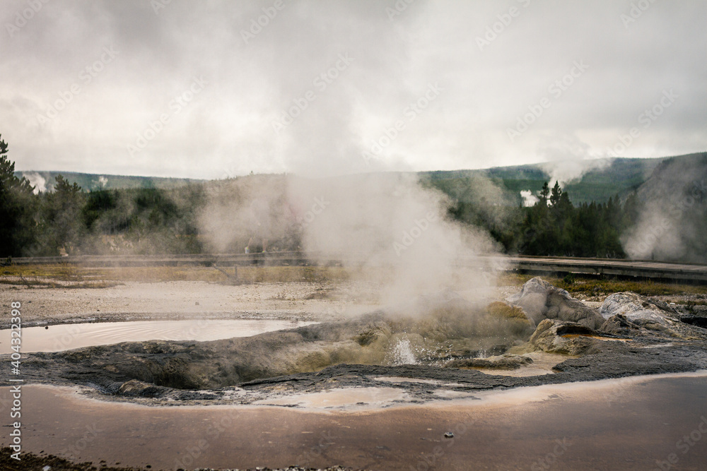 Panoram shot of two steaming and blasting gayser holes in yellowstone national park in america