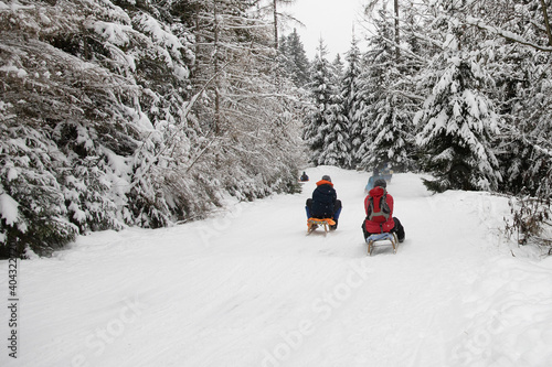 People sledging down a snow covered road in a snowy forest on a wooden sleigh.