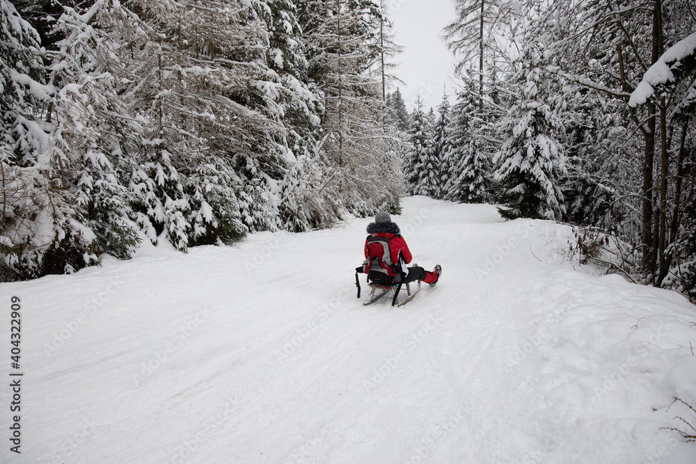 A person sledging down a snow covered road in a snowy forest on a wooden sleigh.