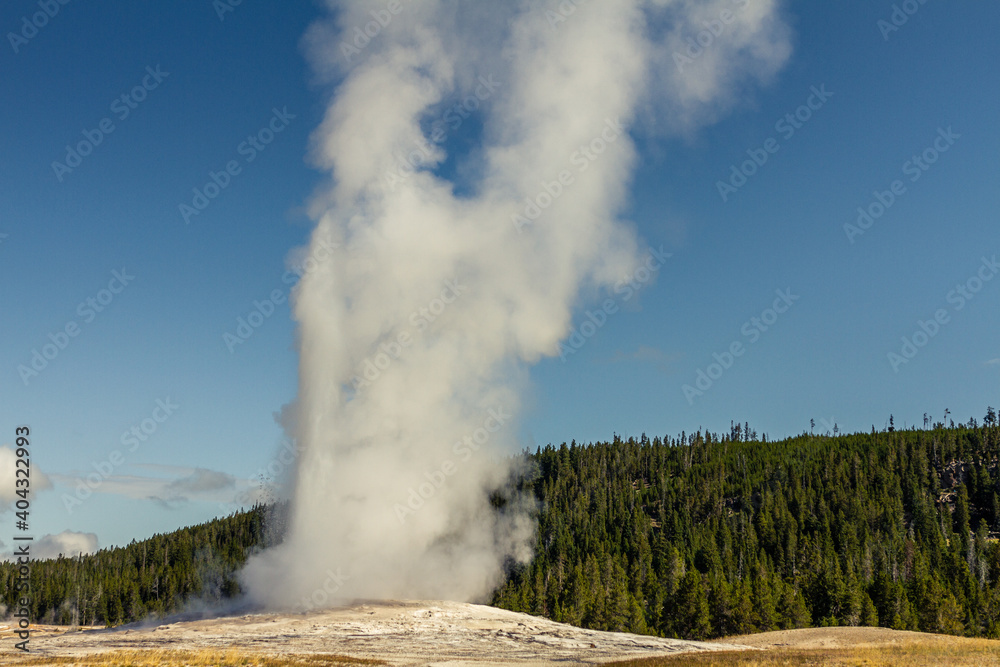 Close up of steaming and gushing old faithful geyser in thermal nature of yellowstone national park in america Close up of steaming and gushing old faithful geyser in thermal nature of yellowstone national park in america