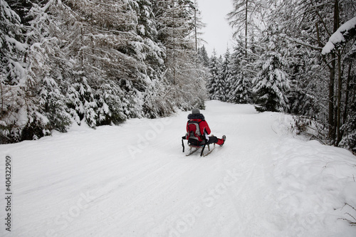 A person sledging down a snow covered road in a snowy forest on a wooden sleigh.