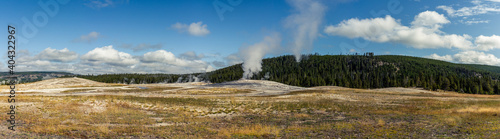 Panorama shot of old faithful geyser in thermal nature of yellowstone national park in america