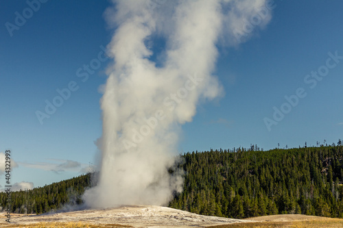 Close up of steaming and gushing old faithful geyser in thermal nature of yellowstone national park in america