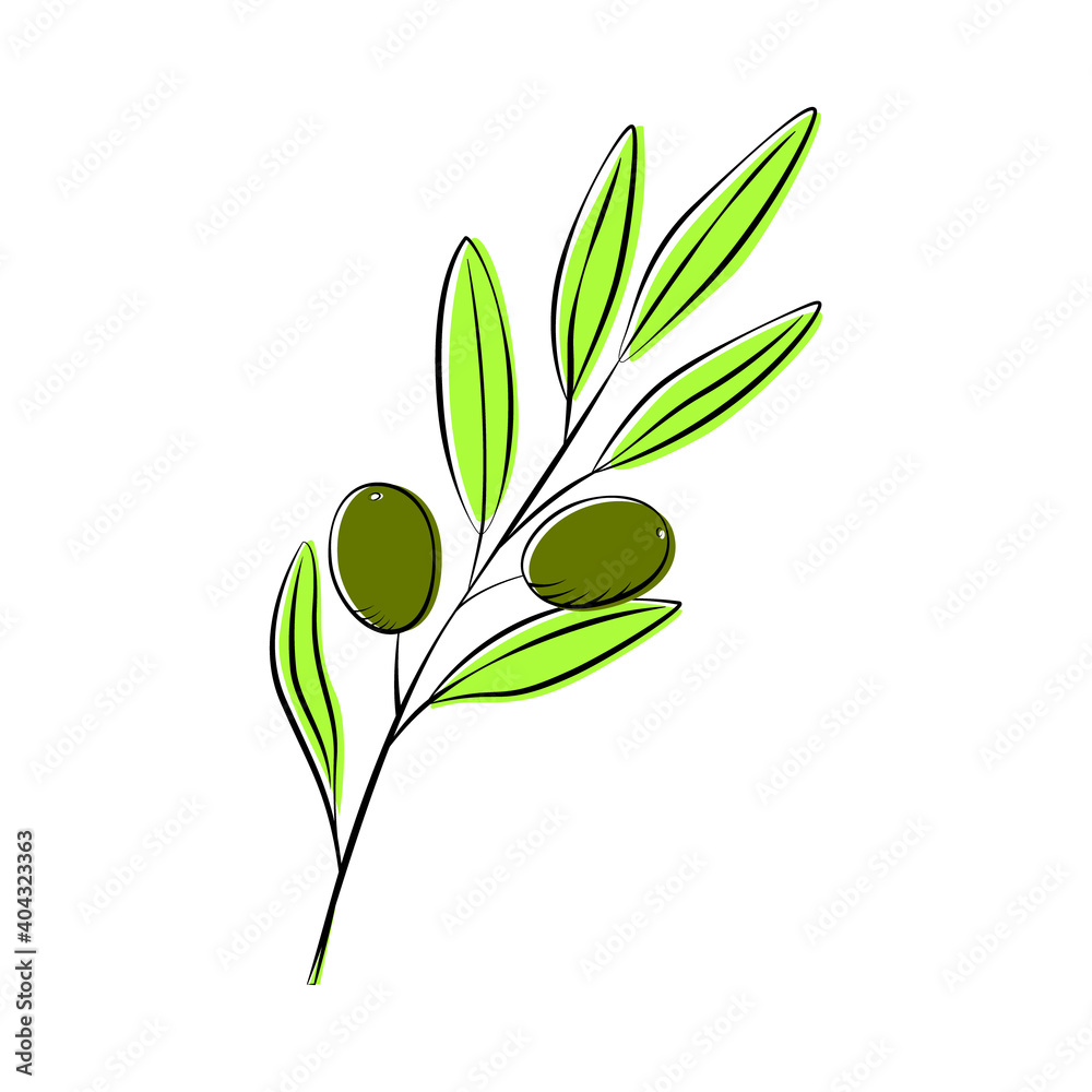 Olive branch for food design, cafes, restaurants, catering, delivery. Vector Illustration, sketch style