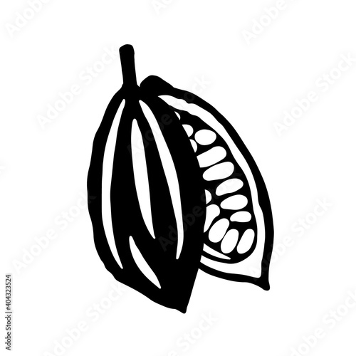 Cocoa pods and cocoa beans icon, chocolate basis isolated on white background. Vector illustration. Logo template
