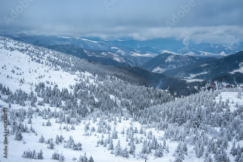 fir trees and mountains covered with snow. beautiful winter landscape