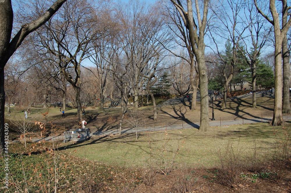 Vista de Central Park, en Manhattan (Nueva York). Estados Unidos de America