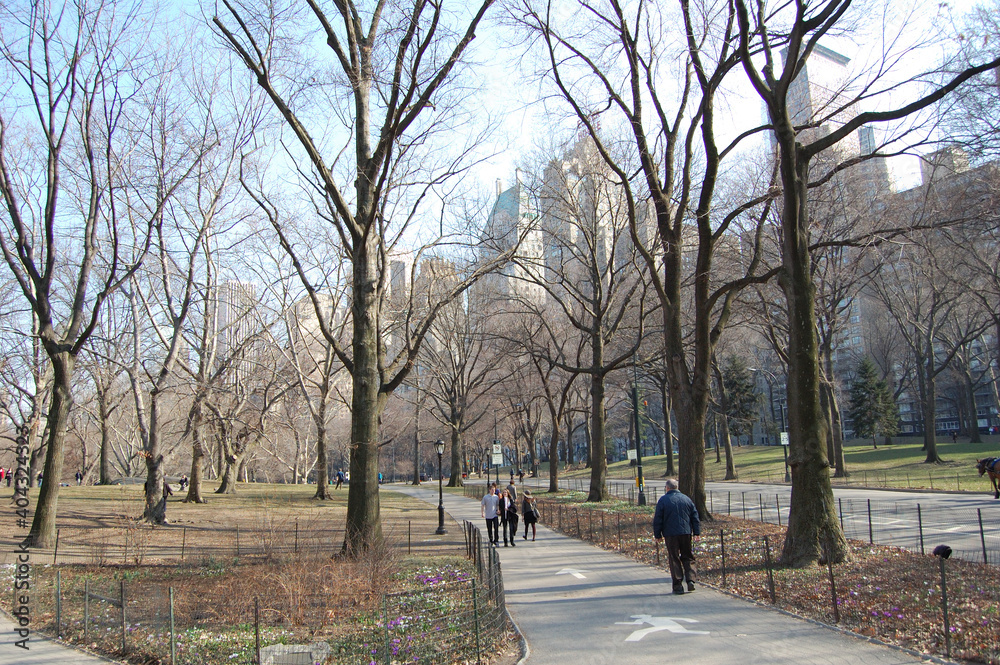 Vista de Central Park, en Manhattan (Nueva York). Estados Unidos de America